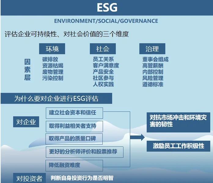 双碳战略咨询服务(双碳战略是什么意思)滨州市