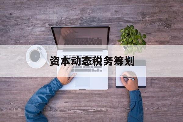 资本动态税务筹划(资本动态税务筹划案例)滨州市