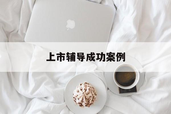 上市辅导成功案例(上市辅导成功后肯定会上市吗)滨州市